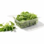 Araikeerai(அரைக்கீரை)