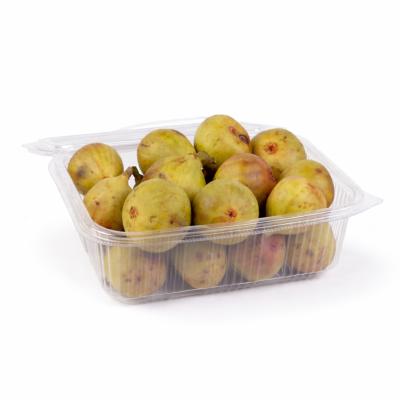 Fig (அத்திப்பழம்)