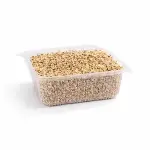 Pearl Millet (கம்பு) - Sprouts