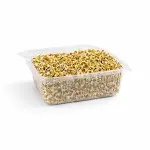 Green Gram (பாசிப்பருப்பு) - Sprouts