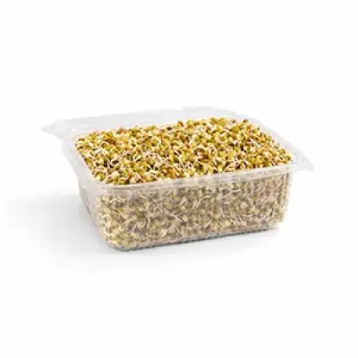 Green Gram (பாசிப்பருப்பு) - Sprouts