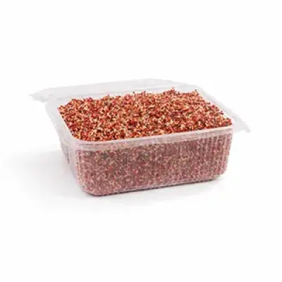 Ragi (கேழ்வரகு) - Sprouts