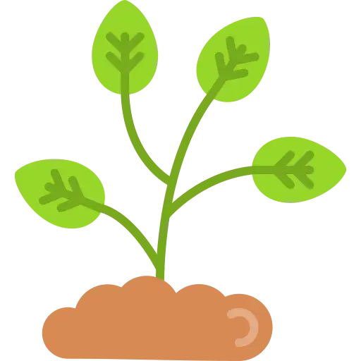 Sprouts (முளைகட்டிய பயறுகள்)