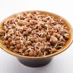 Horse Gram(கொள்ளு) - Sprouts