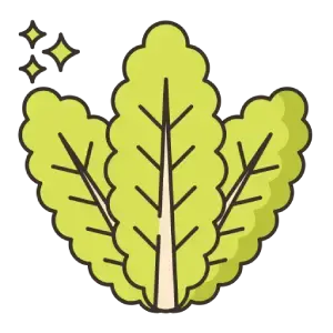 Fresh Greens (கீரை வகைகள்)